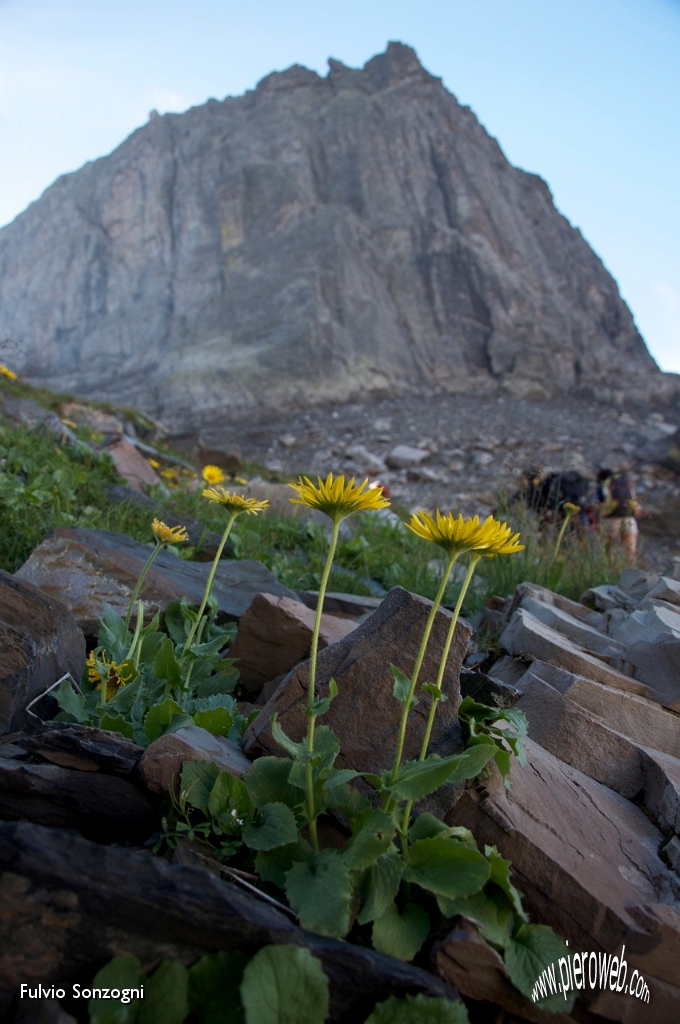 09 Arnica e P.zo Poris.jpg